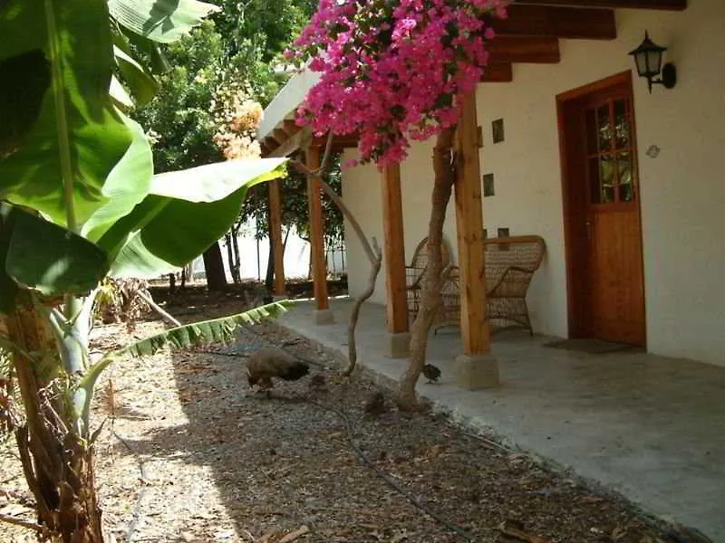 ** Szálloda Cho Manuel Residence Maspalomas Spanyolország